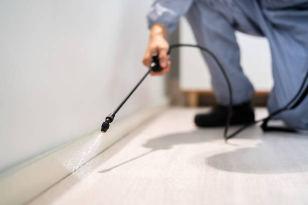 Licensed Emergency Pest Control service in New California, OH - Nex Pest Control