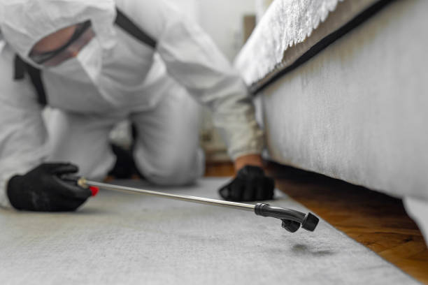 Professional Emergency Pest Control technician working in New California, OH