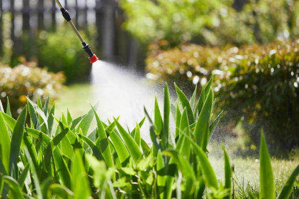 24/7 Emergency Emergency Pest Control experts in New California, OH