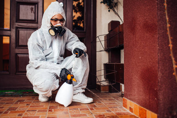 Reliable Emergency Pest Control contractor in New California, OH by Nex Pest Control