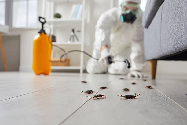 Trusted Cockroach Control service in New California, OH - Nex Pest Control